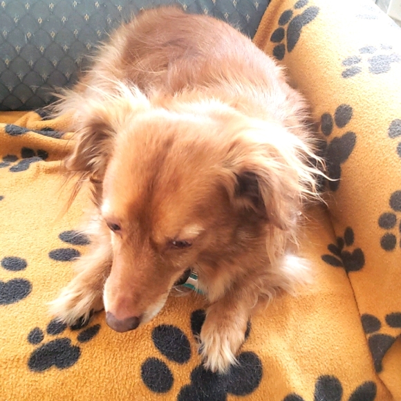 Meet your Posher, Denise - Picture 1 of 1